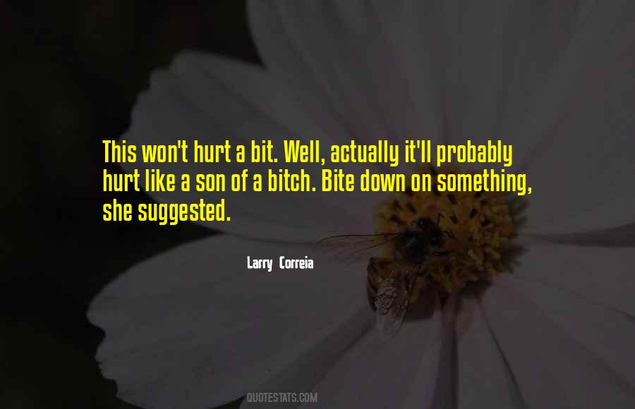 Larry Correia Quotes #85696