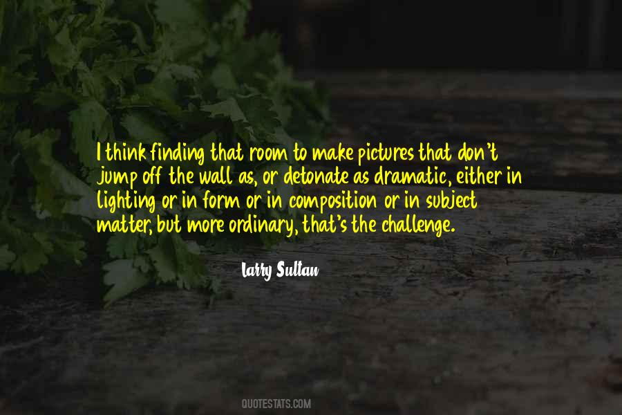 Larry Sultan Quotes #475769