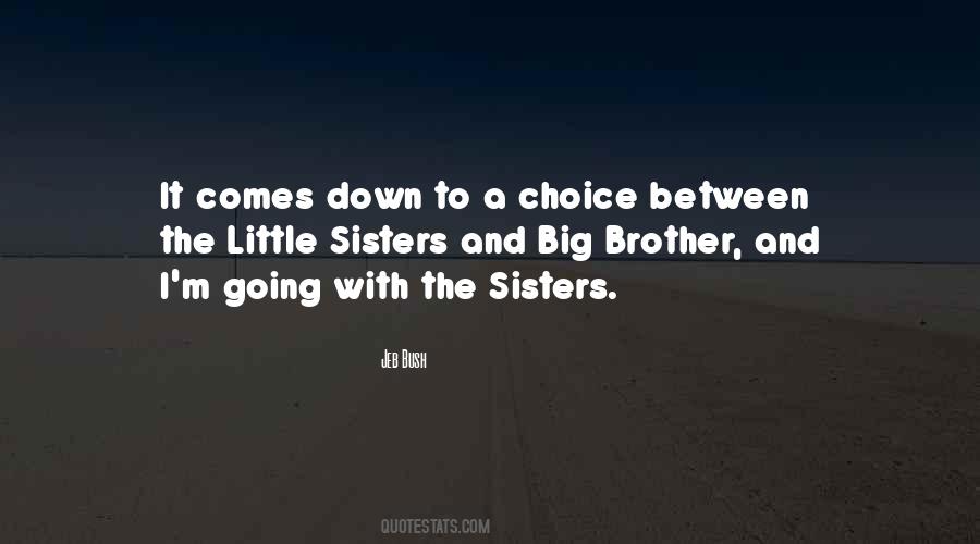 Quotes About Big Brother And Little Sister #1132209