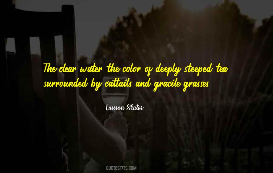 Lauren Slater Quotes #409204