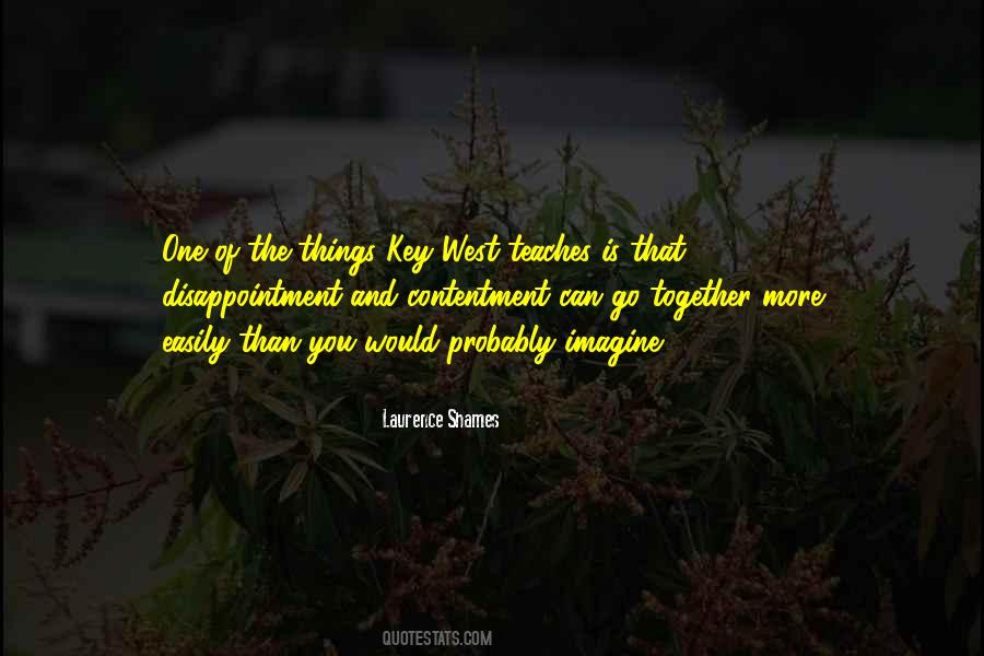 Laurence Shames Quotes #1352100