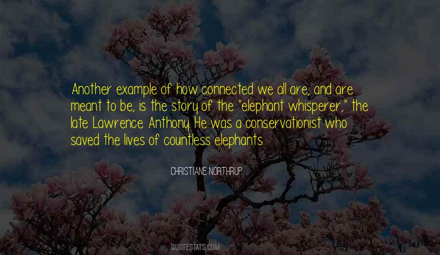 Lawrence Anthony Quotes #1283922