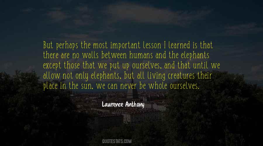 Lawrence Anthony Quotes #888324