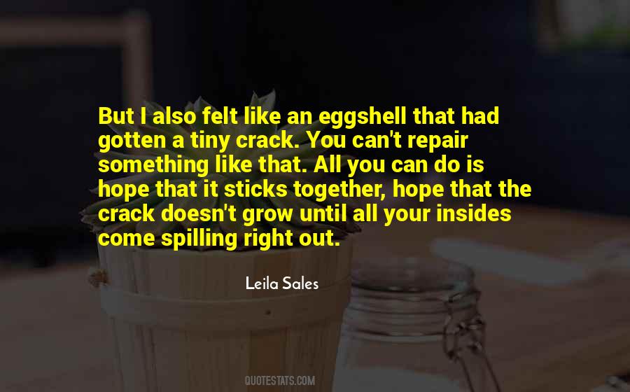 Leila Sales Quotes #348565