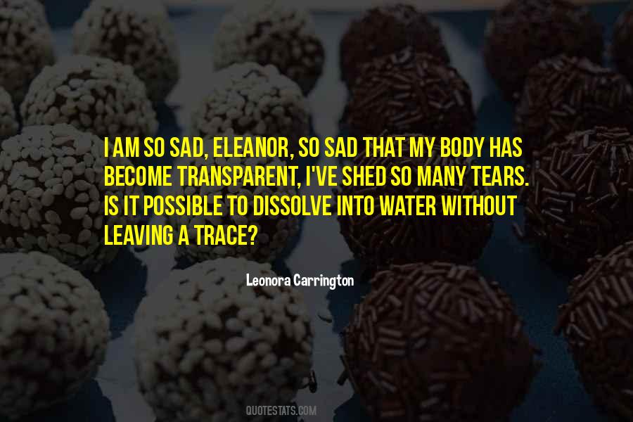 Leonora Carrington Quotes #975089