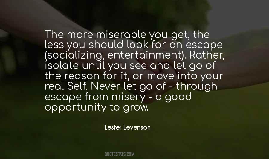 Lester Levenson Quotes #678127