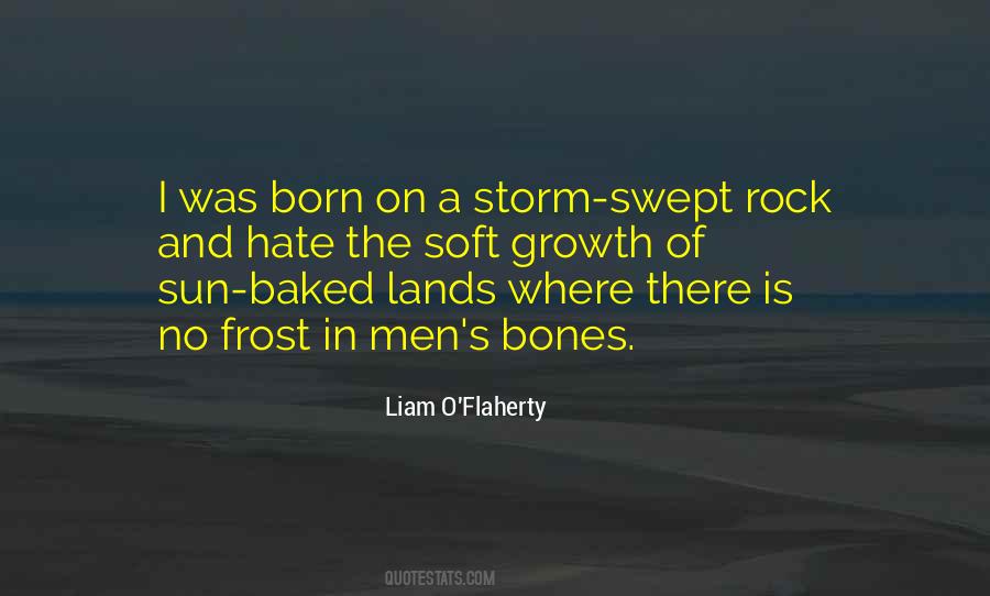 Liam O'flaherty Quotes #382282