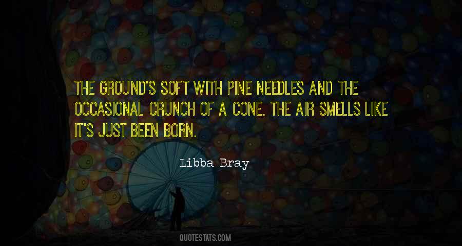 Libba Bray Quotes #144653