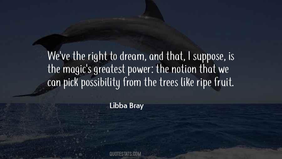 Libba Bray Quotes #195754