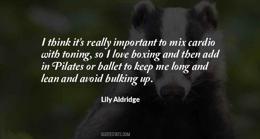 Lily Aldridge Quotes #997842