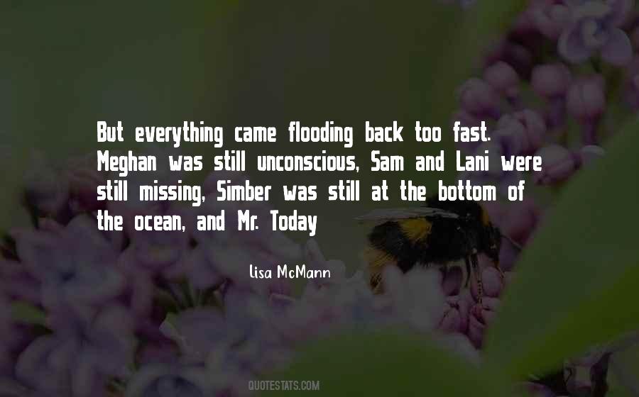 Lisa Mcmann Quotes #775852