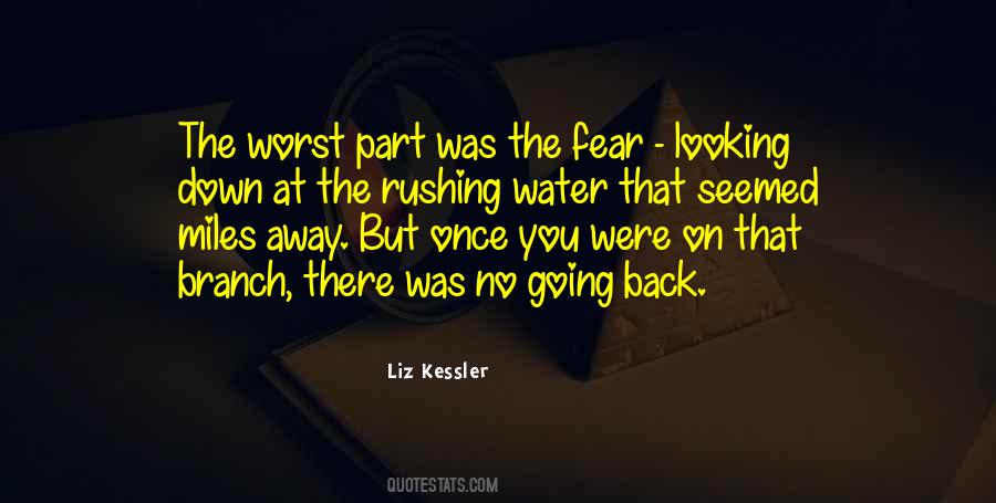 Liz Kessler Quotes #1018160