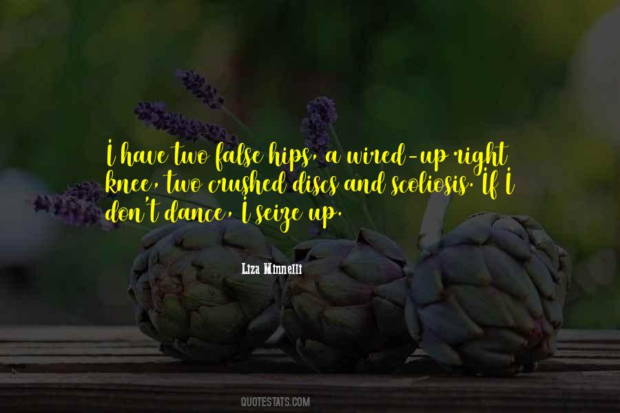 Liza Minnelli Quotes #1550989