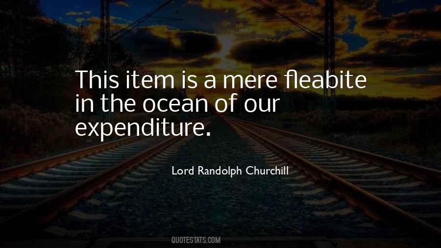 Lord Randolph Churchill Quotes #430280