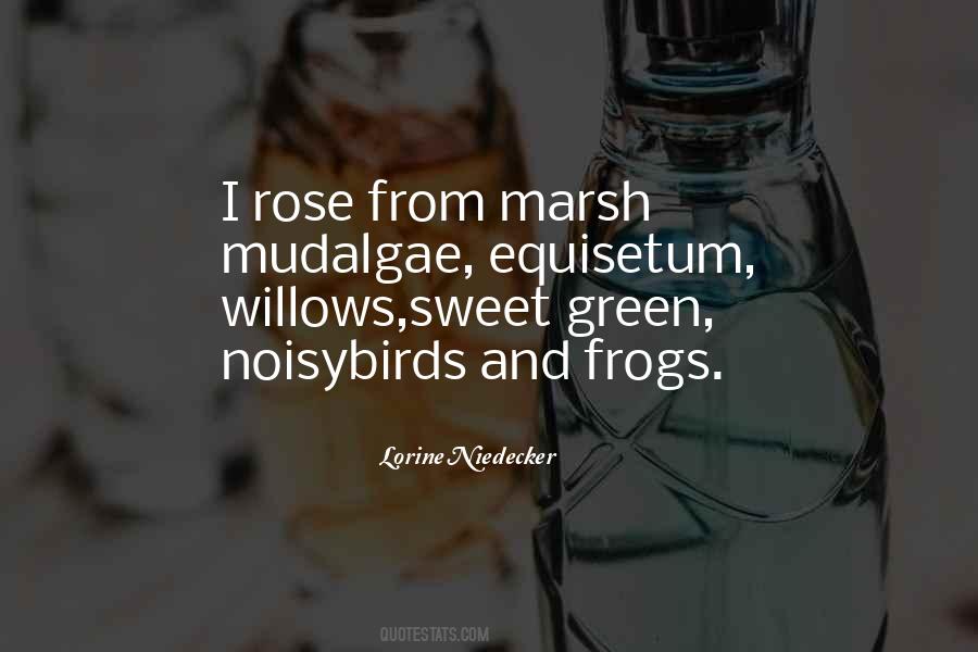 Lorine Niedecker Quotes #695336