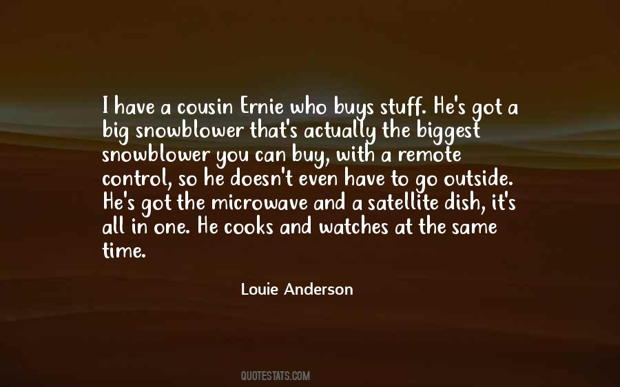 Louie Anderson Quotes #1179824