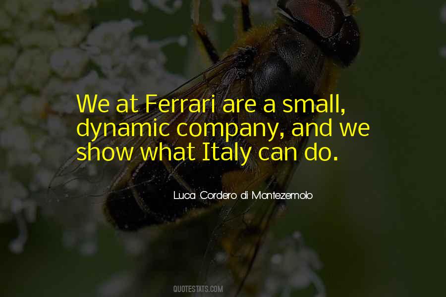 Luca Cordero Di Montezemolo Quotes #1443081