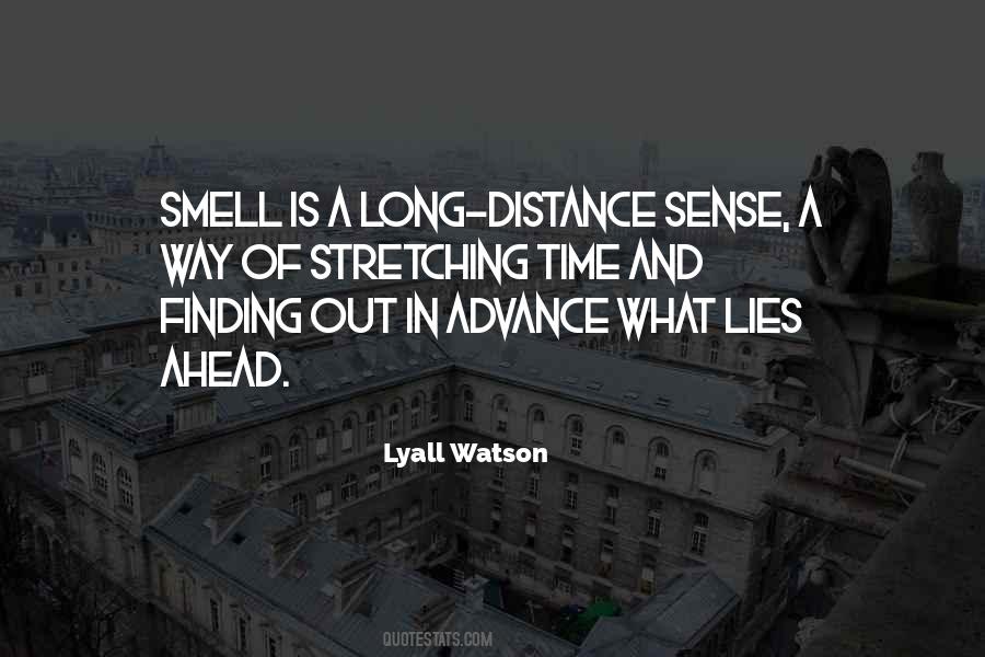 Lyall Watson Quotes #577838