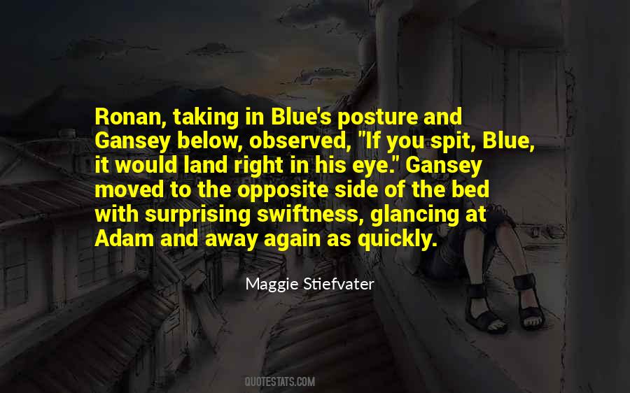 Maggie Stiefvater Quotes #67986