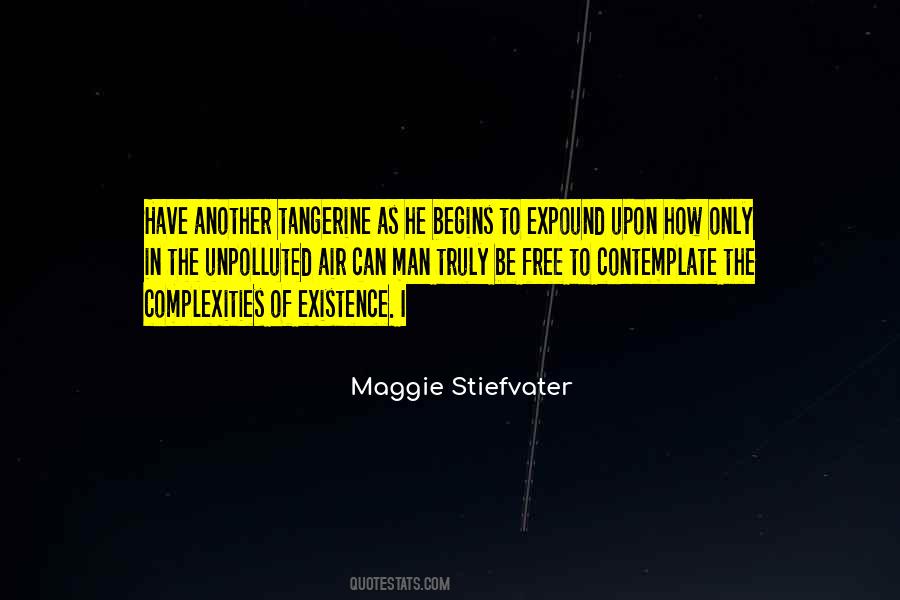 Maggie Stiefvater Quotes #84106