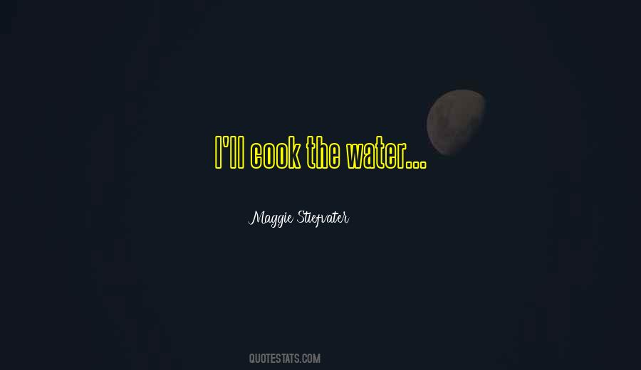 Maggie Stiefvater Quotes #94914