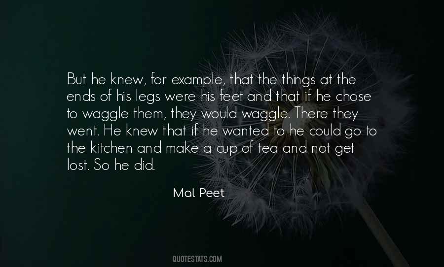 Mal Peet Quotes #8266