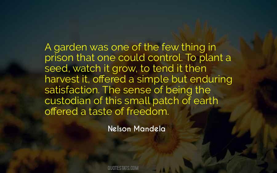 Mandela Nelson Quotes #58328
