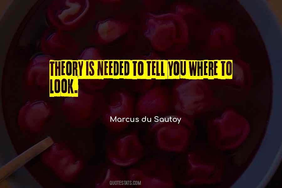 Marcus Du Sautoy Quotes #1721265