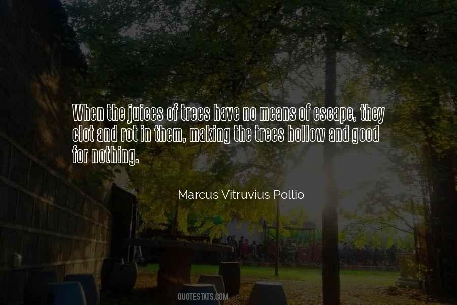 Marcus Vitruvius Pollio Quotes #156086