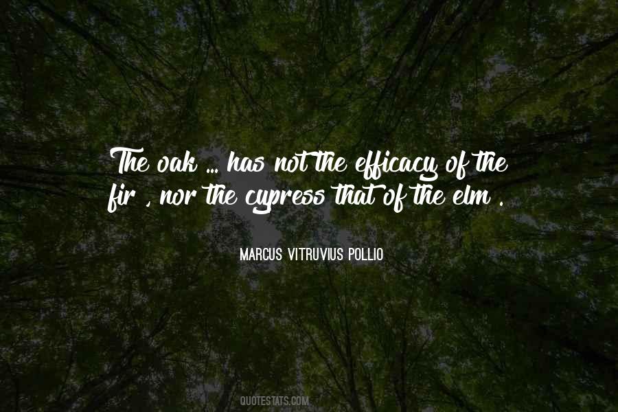 Marcus Vitruvius Pollio Quotes #693044