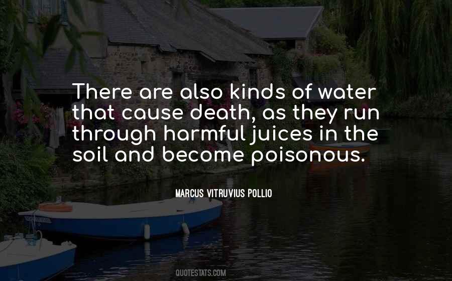 Marcus Vitruvius Pollio Quotes #745060
