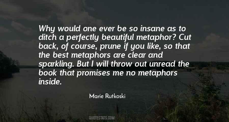 Marie Rutkoski Quotes #15149