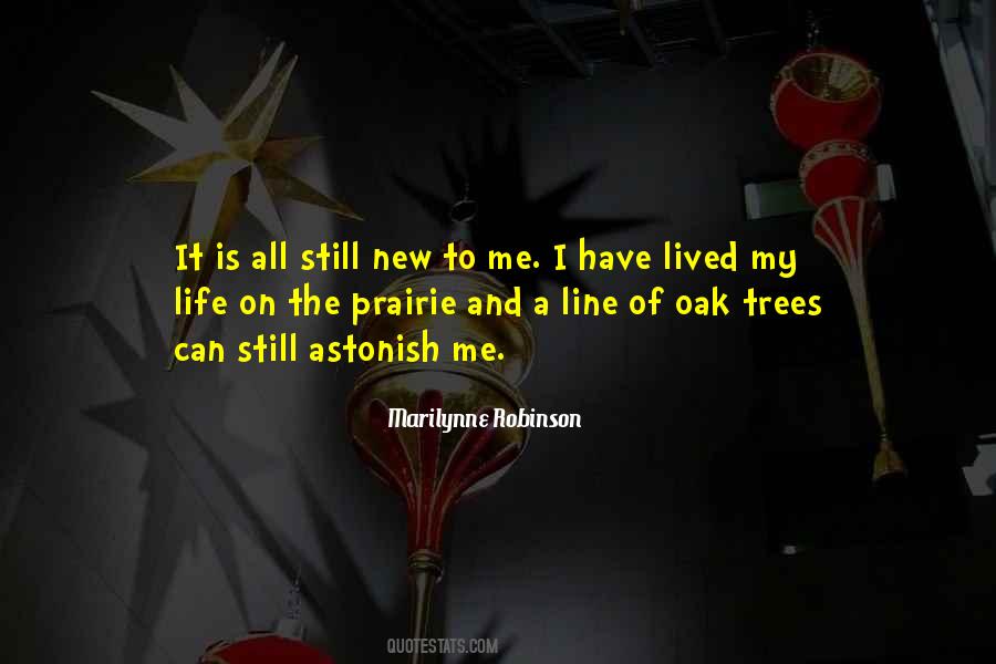 Marilynne Robinson Quotes #208381