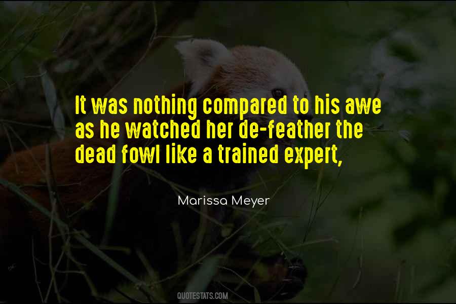 Marissa Meyer Quotes #6298