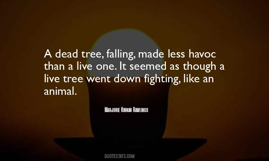 Marjorie Kinnan Rawlings Quotes #361774