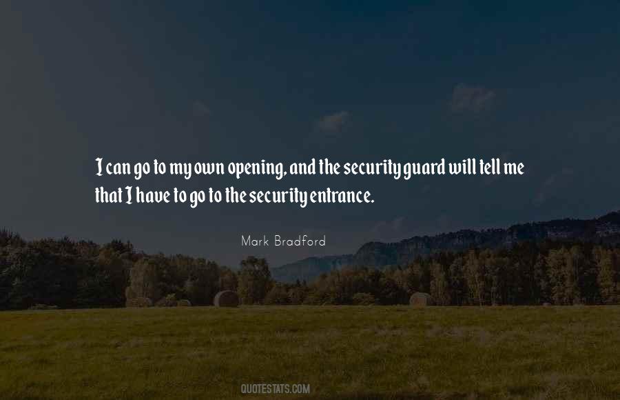 Mark Bradford Quotes #479032