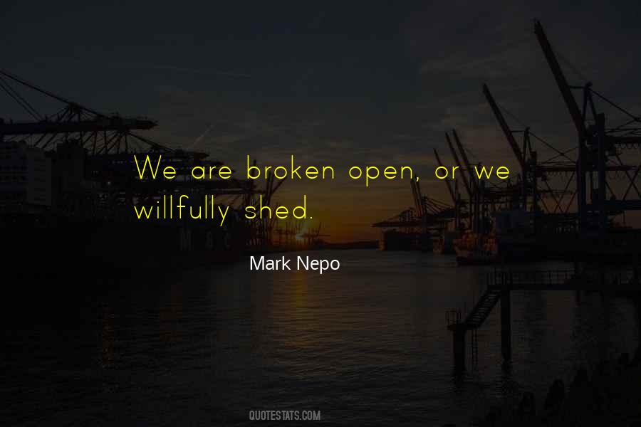 Mark Nepo Quotes #543731