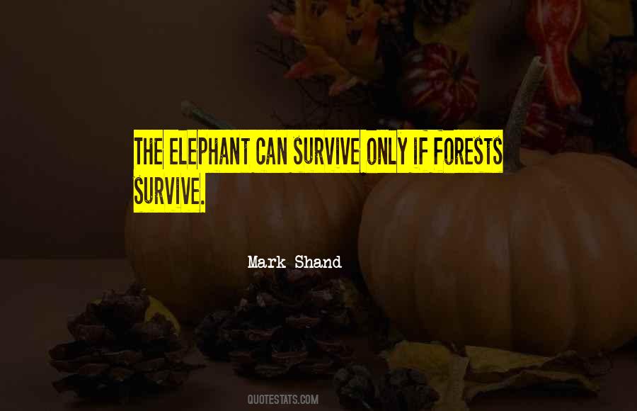 Mark Shand Quotes #1245153