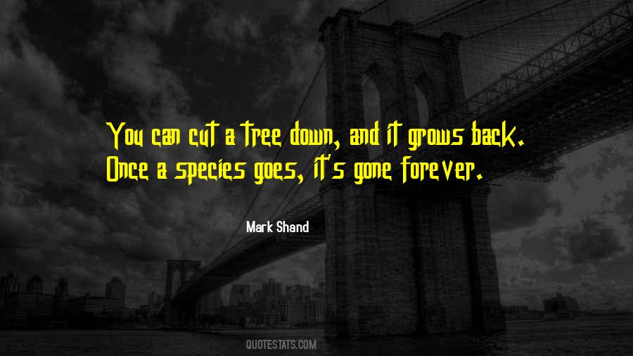 Mark Shand Quotes #568639