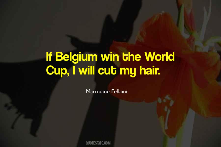 Marouane Fellaini Quotes #1149641