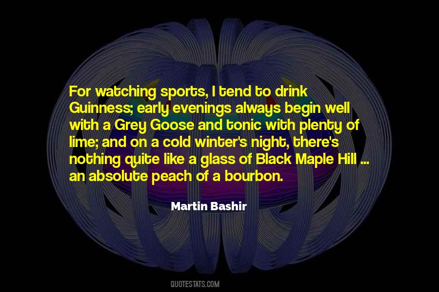 Martin Bashir Quotes #321509