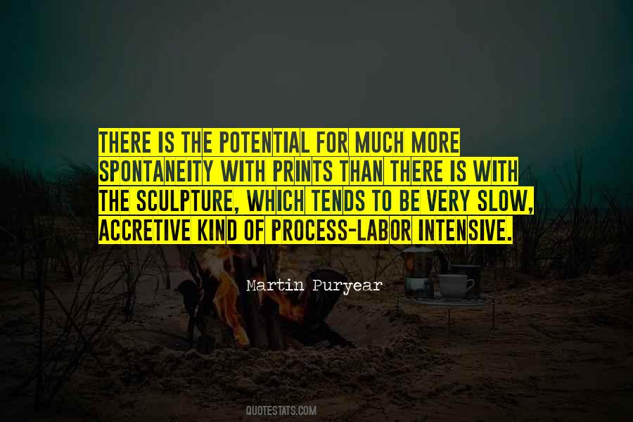Martin Puryear Quotes #304134