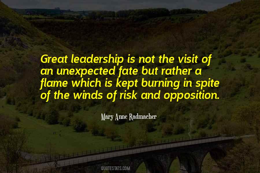 Mary Anne Radmacher Quotes #411912