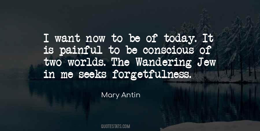 Mary Antin Quotes #1110996