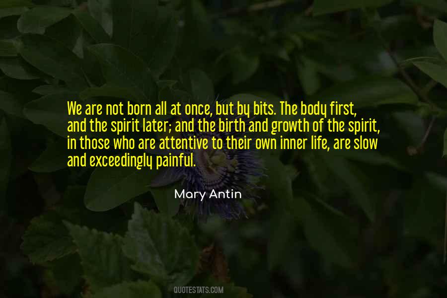 Mary Antin Quotes #972173