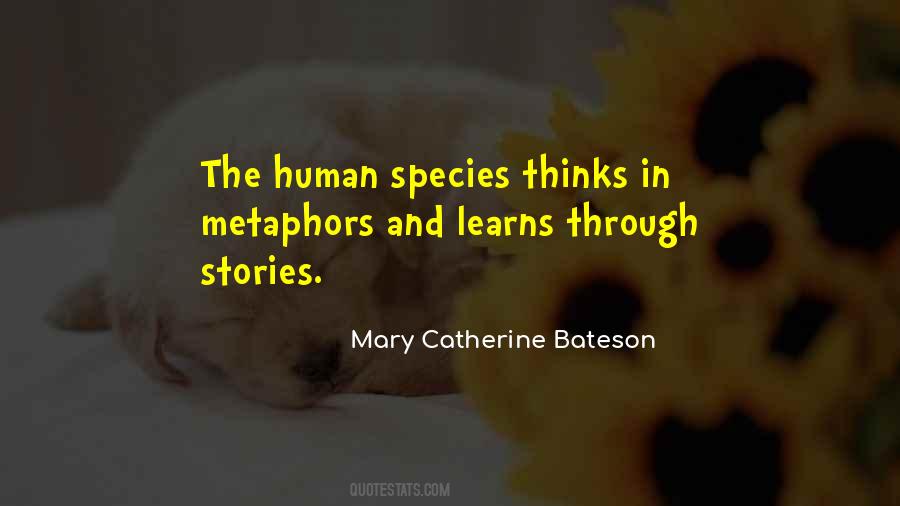 Mary Catherine Bateson Quotes #1385911