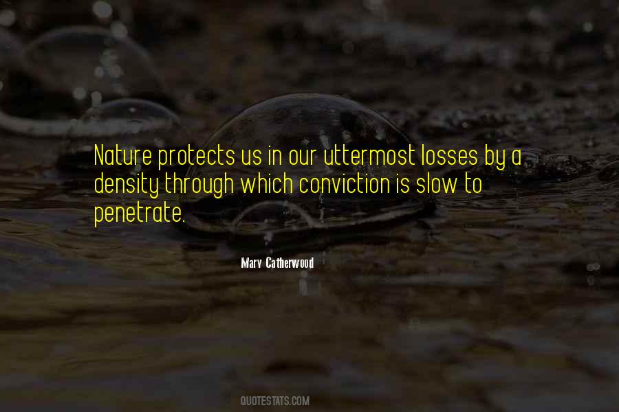 Mary Catherwood Quotes #100748