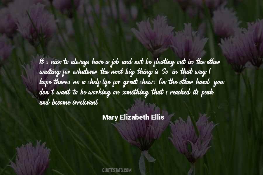 Mary Elizabeth Quotes #273989