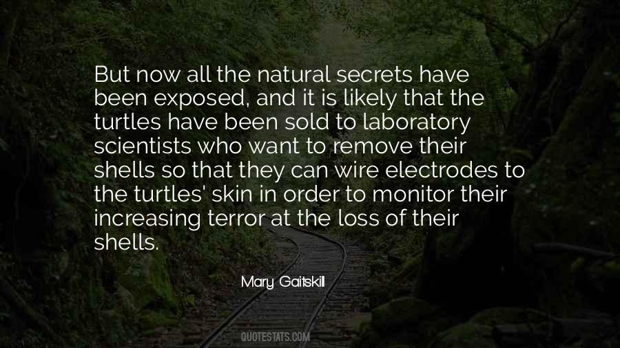 Mary Gaitskill Quotes #194325
