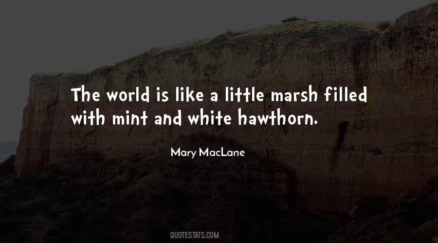 Mary Maclane Quotes #615664